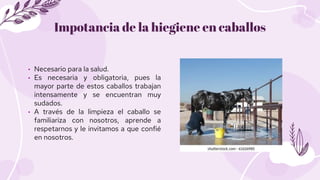 Impotancia de la hiegiene en caballos
• Necesario para la salud.
• Es necesaria y obligatoria, pues la
mayor parte de esto...
