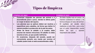 Tipos de limpieza
Limpieza con agua Limpieza en seco
 Comenzar mojando las piernas del animal e ir
ascendiendo poco a poc...