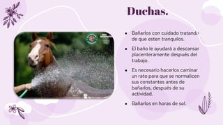 ● Bañarlos con cuidado tratando
de que esten tranquilos.
● El baño le ayudará a descansar
placenteramente después del
trab...