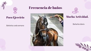Frecuencia de baños
Bañarlos cada semana
Bañarlos diario
Poco Ejercicio Mucha Actividad.
 