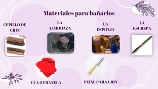 Materiales para bañarlos
CEPILLO DE
CRIN
LA
ALMOHAZA
PEINE PARA CRIN
LÚA O FRANELA
LA
ESCREPA
LA
ESPONJA
 