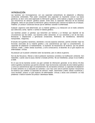 INTRODUCCIÓN 
Las bacterias son microorganismos con una capacidad extraordinaria de adaptación a diferentes 
condiciones ambientales. Para poder comprender esta capacidad es importante conocer sus bases 
genéticas, es decir cómo está organizada la información genética, como realizan y regulan su expresión y 
que mecanismos de variación genética poseen. Entre otras, la capacidad infecciosa de las bacterias 
patógenas, radica en que poseen la información génica necesaria para colonizar los tejidos de un huésped, 
invadirlos y/o producir sustancias tóxicas que en definitiva causarán la enfermedad. 
Cualquier organismo está determinado por su material genético y su interacción con el medio ambiente 
que selecciona, activa, reprime o cambia el material genético. 
Las bacterias poseen un genotipo que transmiten por herencia y un fenotipo que depende de las 
circunstancias que les rodean. Las bacterias sufren variaciones en sus caracteres y son de dos tipos; 
fenotípicas o adaptaciones y genotípicas (mutaciones, fenómenos de transferencia, elementos 
transponibles, integrones). 
El estudio de la genética bacteriana, atendiendo a los dos aspectos anteriores, permite entender mejor las 
funciones esenciales de su material genético y las características que rigen su comportamiento, su 
capacidad de adaptación al medioambiente, la expresión de mecanismos de virulencia que les permite 
colonizar, invadir, y dañar células eucariotas, y como consecuencia, el desarrollo de un gran espectro de 
enfermedades clínicas. 
Se producen por la presión ambiental sobre las bacterias, pero no afecta al genoma. 
Son de alta frecuencia. Afectan a toda la población bacteriana sometida a la modificación ambiental. Son 
reversibles; cuando cesa la causa, retornan al estado primitivo. No son hereditarias, porque no se modifica 
el ADN. 
En el caso de las bacterias existen una gran cantidad de información generada en los últimos 50 años 
sobre la genética bacteriana que permite entender mejor las funciones esenciales de este material genético 
y como sus características rigen el comportamiento de una bacteria comensal, su capacidad de adaptación 
al medio ambiente en su búsqueda de nutrientes o aun mas como esto le permite expresar mecanismos 
de virulencia que confieren la capacidad de colonizar, invadir, diseminarse y dañar células cucarióticas y, 
como resultado, producir un gran espectro de enfermedades clínicas, a veces solo conviviendo sin más 
problemas o hasta el extremo de producir desenlaces fatales. 
 