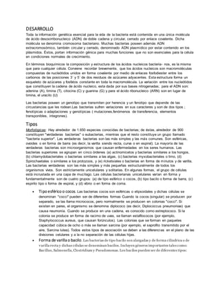 DESARROLLO 
Toda la información genética esencial para la vida de la bacteria está contenida en una única molécula 
de ácido desoxirribonucleico (ADN) de doble cadena y circular, cerrado por enlace covalente. Dicha 
molécula se denomina cromosoma bacteriano. Muchas bacterias poseen además ADN 
extracromosómico, también circular y cerrado, denominado ADN plasmídico por estar contenido en los 
plásmidos. Éstos, portan información génica para muchas funciones que no son esenciales para la célula 
en condiciones normales de crecimiento. 
En términos bioquímicos la composición y est ructura de los ácidos nucleicos bacteria- nos, es la misma 
que para cualquier célula. Conviene recordar brevemente, que los ácidos nucleicos son macromoléculas 
compuestas de nucleótidos unidos en forma covalente por medio de enlaces fosfodiester entre los 
carbonos de las posiciones 3´ y 5´ de dos residuos de azúcares adyacentes. Esta estructura forma un 
esqueleto de azúcares y fosfatos constante en toda la macromolécula. La variación entre los nucleótidos 
que constituyen la cadena de ácido nucleico, esta dada por sus bases nitrogenadas; para el ADN son: 
adenina (A), timina (T), citocina (C) y guanina (G) y para el ácido ribonucleico (ARN) son en lugar de 
timina, el uracilo (U) 
Las bacterias poseen un genotipo que transmiten por herencia y un fenotipo que depende de las 
circustancias que les rodean.Las bacterias sufren variaciones en sus caracteres y son de dos tipos ; 
fenotípicas o adaptaciones y genotípicas ( mutaciones,fenómenos de transferencia, elementos 
transponibles, integrones). 
Tipos 
Morfológicas: Hay alrededor de 1.650 especies conocidas de bacterias; de éstas, alrededor de 900 
constituyen "verdaderas bacterias" o eubacterias, mientras que el resto constituye un grupo llamado 
"bacteria superior". Las verdaderas bacterias son las más simples y las más comunes. Son esféricas, 
ovoides o en forma de barra (es decir, la varilla siendo recta, curva o en espiral). La mayoría de las 
verdaderas bacterias son microorganismos que causan enfermedades en los seres humanos. Las 
bacterias superiores se agrupan en cinco órdenes (a) actinomicetos y bacterias similares a los hongos, 
(b) chlamydobacteriales o bacterias similares a las algas, (c) bacterias myxobacteriales o limo, (d) 
Spirochaetales o similares a los protozoos, y (e) ricketsiales o bacterias en forma de minutos y de varilla. 
Las bacterias verdaderas son las más simples y más pequeñas estructuralmente de todos los 
organismos vivos. Son estrictamente unicelulares y solitarias. En algunas formas, el grupo de células 
está incrustada en una capa de mucílago. Las células bacterianas unicelulares varían en forma y 
fundamentalmente son de cuatro grupos: (a) de tipo esférico o cocos, (b) tipo bacilo o forma de barra, (c) 
espirilo tipo o forma de espiral, y (d) vibrio o en forma de coma. 
 Tipo esférico o cocos. Las bacterias cocos son esféricas o elipsoidales y dichas células se 
denominan "cocci" pueden ser de diferentes formas Cuando la cocos (singular) se producen por 
separado, se las llama micrococos, pero normalmente se producen en colonias "cocci". Si 
existen en pares, el organismo se denomina diplococo (es decir, Diplococcus pneumoniae) que 
causa neumonía. Cuando se produce en una cadena, es conocido como estreptococo. Si la 
colonia se produce en forma de racimo de uvas, se llaman estafilococos (por ejemplo, 
Staphylococcus aureus, que causan forúnculos). Las colonias que se forman en paquetes 
capacidad cúbica de ocho o más se llaman sarcina (por ejemplo, el saprofito transmitido por el 
aire, Sarcina lutea). Todos estos tipos de asociación se deben a las diferencias en el plano de las 
divisiones celulares y a la no separación de las células hijas. 
 Forma de varilla o bacilo. Las bacterias de tipo bacilo son alargadas y de forma cilíndrica o de 
varilla recta y dichas células se denominan bacilos. Incluyen géneros importantes tales como: 
Bacillus, Salmonella, Clostridium y Pseudomonas. Los bacilos pueden ser de diferentes tipos: 
 