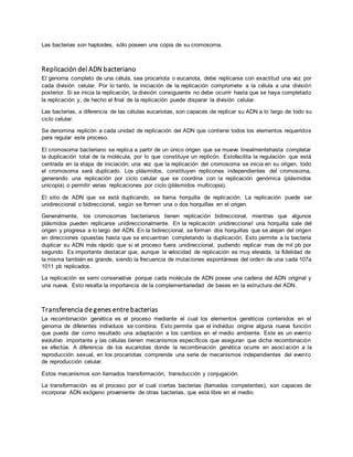 Las bacterias son haploides, sólo poseen una copia de su cromosoma. 
Replicación del ADN bacteriano 
El genoma completo de una célula, sea procariota o eucariota, debe replicarse con exactitud una vez por 
cada división celular. Por lo tanto, la iniciación de la replicación compromete a la célula a una división 
posterior. Si se inicia la replicación, la división consiguiente no debe ocurrir hasta que se haya completado 
la replicación y, de hecho el final de la replicación puede disparar la división celular. 
Las bacterias, a diferencia de las células eucariotas, son capaces de replicar su ADN a lo largo de todo su 
ciclo celular. 
Se denomina replicón a cada unidad de replicación del ADN que contiene todos los elementos requeridos 
para regular este proceso. 
El cromosoma bacteriano se replica a partir de un único origen que se mueve linealmentehasta completar 
la duplicación total de la molécula, por lo que constituye un replicón. Estofacilita la regulación que está 
centrada en la etapa de iniciación; una vez que la replicación del cromosoma se inicia en su origen, todo 
el cromosoma será duplicado. Los plásmidos, constituyen replicones independientes del cromosoma, 
generando una replicación por ciclo celular que se coordina con la replicación genómica (plásmidos 
unicopia) o permitir varias replicaciones por ciclo (plásmidos multicopia). 
El sitio de ADN que se está duplicando, se llama horquilla de replicación. La replicación puede ser 
unidireccional o bidireccional, según se formen una o dos horquillas en el origen. 
Generalmente, los cromosomas bacterianos tienen replicación bidireccional, mientras que algunos 
plásmidos pueden replicarse unidireccionalmente. En la replicación unidireccional una horquilla sale del 
origen y progresa a lo largo del ADN. En la bidireccional, se forman dos horquillas que se alejan del origen 
en direcciones opuestas hasta que se encuentran completando la duplicación. Esto permite a la bacteria 
duplicar su ADN más rápido que si el proceso fuera unidireccional, pudiendo replicar mas de mil pb por 
segundo. Es importante destacar que, aunque la velocidad de replicación es muy elevada, la fidelidad de 
la misma también es grande, siendo la frecuencia de mutaciones espontáneas del orden de una cada 107a 
1011 pb replicados. 
La replicación es semi conservativa porque cada molécula de ADN posee una cadena del ADN original y 
una nueva. Esto resalta la importancia de la complementariedad de bases en la estructura del ADN. 
Transferencia de genes entre bacterias 
La recombinación genética es el proceso mediante el cual los elementos genéticos contenidos en el 
genoma de diferentes individuos se combina. Esto permite que el individuo origine alguna nueva función 
que pueda dar como resultado una adaptación a los cambios en el medio ambiente. Este es un evento 
evolutivo importante y las células tienen mecanismos específicos que aseguran que dicha recombinación 
se efectúe. A diferencia de los eucariotas donde la recombinación genética ocurre en asociación a la 
reproducción sexual, en los procariotas comprende una serie de mecanismos independientes del evento 
de reproducción celular. 
Estos mecanismos son llamados transformación, transducción y conjugación. 
La transformación es el proceso por el cual ciertas bacterias (llamadas competentes), son capaces de 
incorporar ADN exógeno proveniente de otras bacterias, que está libre en el medio. 
 