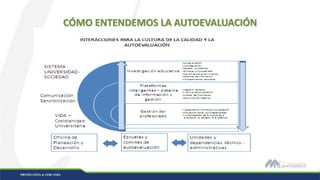 CÓMO ENTENDEMOS LA AUTOEVALUACIÓN
 