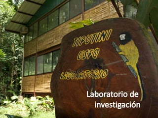 Investigacion RBY