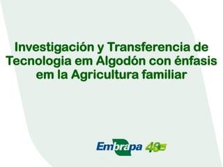 Investigación y Transferencia de Tecnologia em Algodón con énfasis em la Agricultura familiar  