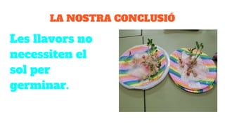 LA NOSTRA CONCLUSIÓ
Les llavors no
necessiten el
sol per
germinar.
 
