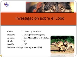 Curso : Ciencia y Ambiente
Docente : Silvia JanampaVergaray
Alumna : Sara Massiel Bravo Ordóñez
Grado : 6to.
Sección :“B”
Fecha de entrega: 11 de agosto de 2015
Investigación sobre el Lobo
 