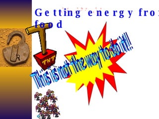 Getting energy from food 