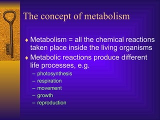 The concept of metabolism Metabolism = all the chemical reactions taken place inside the living organisms Metabolic reactions produce different life processes, e.g.  photosynthesis respiration movement growth reproduction 