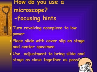 How do you use a microscope? -focusing hints Turn revolving nosepiece to low power Place slide with cover slip on stage and center specimen Use  adjustment to bring slide and stage as close together as possible 