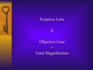 Eyepiece Lens X Objective Lens = Total Magnification 