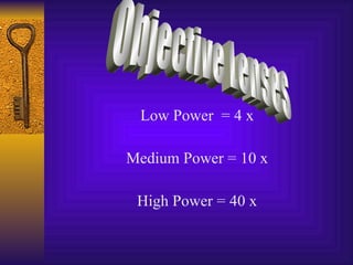 Low Power  = 4 x Medium Power = 10 x High Power = 40 x Objective Lenses 
