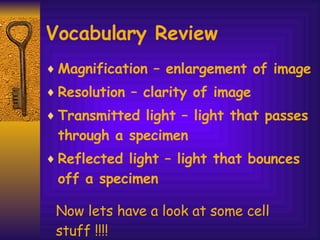 Vocabulary Review Magnification – enlargement of image Resolution – clarity of image Transmitted light – light that passes through a specimen Reflected light – light that bounces off a specimen Now lets have a look at some cell stuff !!!! 