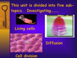 This unit is divided into five sub-topics.  Investigating……… Diffusion Living cells Cell division 