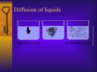 Diffusion of liquids 