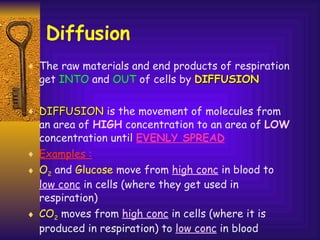 Diffusion The raw materials and end products of respiration get  INTO  and  OUT  of cells by  DIFFUSION DIFFUSION  is the movement of molecules from an area of  HIGH  concentration to an area of  LOW  concentration until  EVENLY SPREAD Examples : O 2  and  Glucose  move from  high conc  in blood to  low conc  in cells (where they get used in respiration) CO 2  moves from  high conc  in cells (where it is produced in respiration) to  low conc  in blood 
