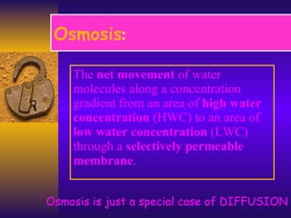 Osmosis : The  net movement  of water molecules along a concentration gradient from an area of  high water concentration  (HWC) to an area of  low water concentration  (LWC) through a  selectively permeable membrane . Osmosis is just a special case of DIFFUSION 