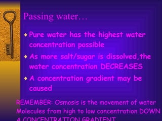 Passing water… Pure water has the highest water concentration possible As more salt/sugar is dissolved,the water concentration DECREASES A concentration gradient may be caused REMEMBER: Osmosis is the movement of water  Molecules from high to low concentration DOWN A CONCENTRATION GRADIENT 