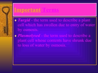 Important  Terms Turgid  - the term used to describe a plant cell which has swollen due to entry of water by osmosis. Plasmolysed  - the term used to describe a plant cell whose contents have shrunk due to loss of water by osmosis. 