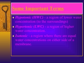 Hypotonic (HWC)  - a region of lower water concentration (to the surroundings) Hypertonic (LWC)  - a region of higher water concentration. Isotonic  - a region where there are equal water concentrations on either side of a membrane. Some Important Terms 