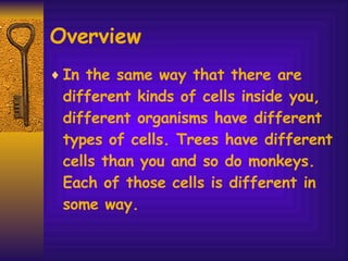 Overview  In the same way that there are different kinds of cells inside you, different organisms have different types of cells. Trees have different cells than you and so do monkeys. Each of those cells is different in some way.  