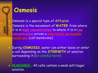 Osmosis Osmosis is a special type of  diffusion Osmosis is the movement of  WATER  from where it is in  high concentration  to where it is in  low concentration  across a  selectively permeable membrane  (cell membrane) During  OSMOSIS , water can either leave or enter a cell depending on the  STRENGTH  of solution surrounding it ( be careful here!) REMEMBER :  All cells contain a weak salt/sugar solution. 