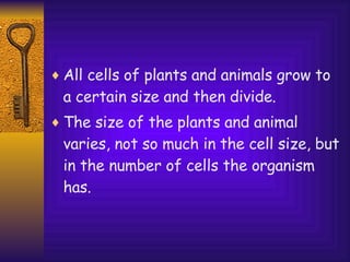 All cells of plants and animals grow to a certain size and then divide. The size of the plants and animal varies, not so much in the cell size, but in the number of cells the organism has. 