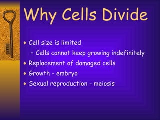 Why Cells Divide Cell size is limited Cells cannot keep growing indefinitely Replacement of damaged cells Growth - embryo Sexual reproduction - meiosis 