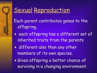 Sexual   Reproduction Each parent contributes genes to the offspring. each offspring has a different set of inherited traits from the parents different also than any other members of its own species. Gives offspring a better chance of surviving in a changing environment. 
