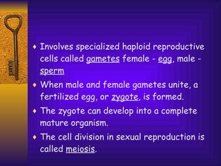 Involves specialized haploid reproductive cells called  gametes  female -  egg , male -  sperm When male and female gametes unite, a fertilized egg, or  zygote , is formed.  The zygote can develop into a complete mature organism. The cell division in sexual reproduction is called  meiosis .  