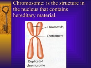 Chromosome: is the structure in the nucleus that contains hereditary material. 