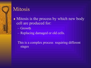 Mitosis  Mitosis is the process by which new body cell are produced for: Growth Replacing damaged or old cells.  This is a complex process  requiring different stages 
