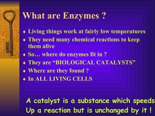 What are Enzymes ? Living things work at fairly low temperatures They need many chemical reactions to keep them alive So… where do enzymes fit in ? They are “BIOLOGICAL CATALYSTS”  Where are they found ? In ALL LIVING CELLS A catalyst is a substance which speeds Up a reaction but is unchanged by it ! 