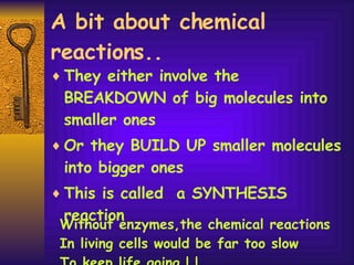 A bit about chemical reactions.. They either involve the BREAKDOWN of big molecules into smaller ones Or they BUILD UP smaller molecules into bigger ones This is called  a SYNTHESIS reaction Without enzymes,the chemical reactions In living cells would be far too slow To keep life going ! !  