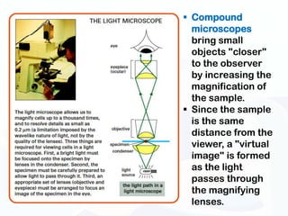  Compound
  microscopes
  bring small
  objects "closer"
  to the observer
  by increasing the
  magnification of
  the sample.
 Since the sample
  is the same
  distance from the
  viewer, a "virtual
  image" is formed
  as the light
  passes through
  the magnifying
  lenses.
 