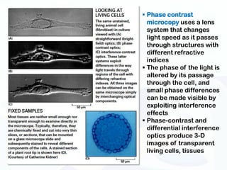  Phase contrast
  microcopy uses a lens
  system that changes
  light speed as it passes
  through structures with
  different refractive
  indices
 The phase of the light is
  altered by its passage
  through the cell, and
  small phase differences
  can be made visible by
  exploiting interference
  effects
 Phase-contrast and
  differential interference
  optics produce 3-D
  images of transparent
  living cells, tissues
 