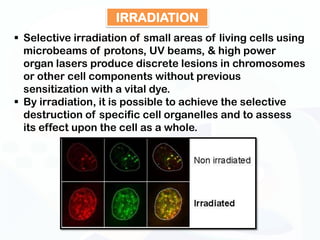 IRRADIATION
 Selective irradiation of small areas of living cells using
  microbeams of protons, UV beams, & high power
  organ lasers produce discrete lesions in chromosomes
  or other cell components without previous
  sensitization with a vital dye.
 By irradiation, it is possible to achieve the selective
  destruction of specific cell organelles and to assess
  its effect upon the cell as a whole.
 