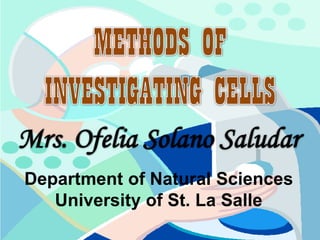 Department of Natural Sciences
   University of St. La Salle
 