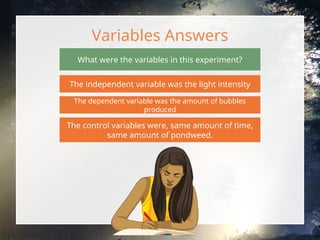 Investigating the Effect of Light Intensity - PowerPoint.ppt