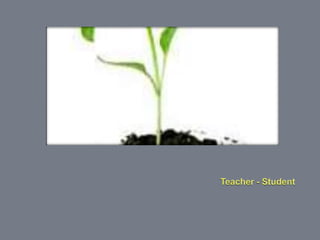 Investigating your learning
