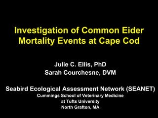 Investigation of Common Eider Mortality Events at Cape Cod Julie C. Ellis, PhD Sarah Courchesne, DVM Seabird Ecological Assessment Network (SEANET) Cummings School of Veterinary Medicine at Tufts University North Grafton, MA 