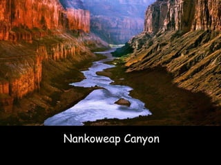 Nankoweap Canyon 