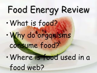 Food Energy Review ,[object Object],[object Object],[object Object]