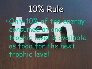 10% Rule ,[object Object]