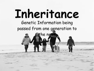 Inheritance Genetic Information being passed from one generation to the next 