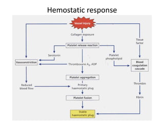 Bachelor of Chinese Medicine, The
University of Hong Kong
Hemostatic response
 