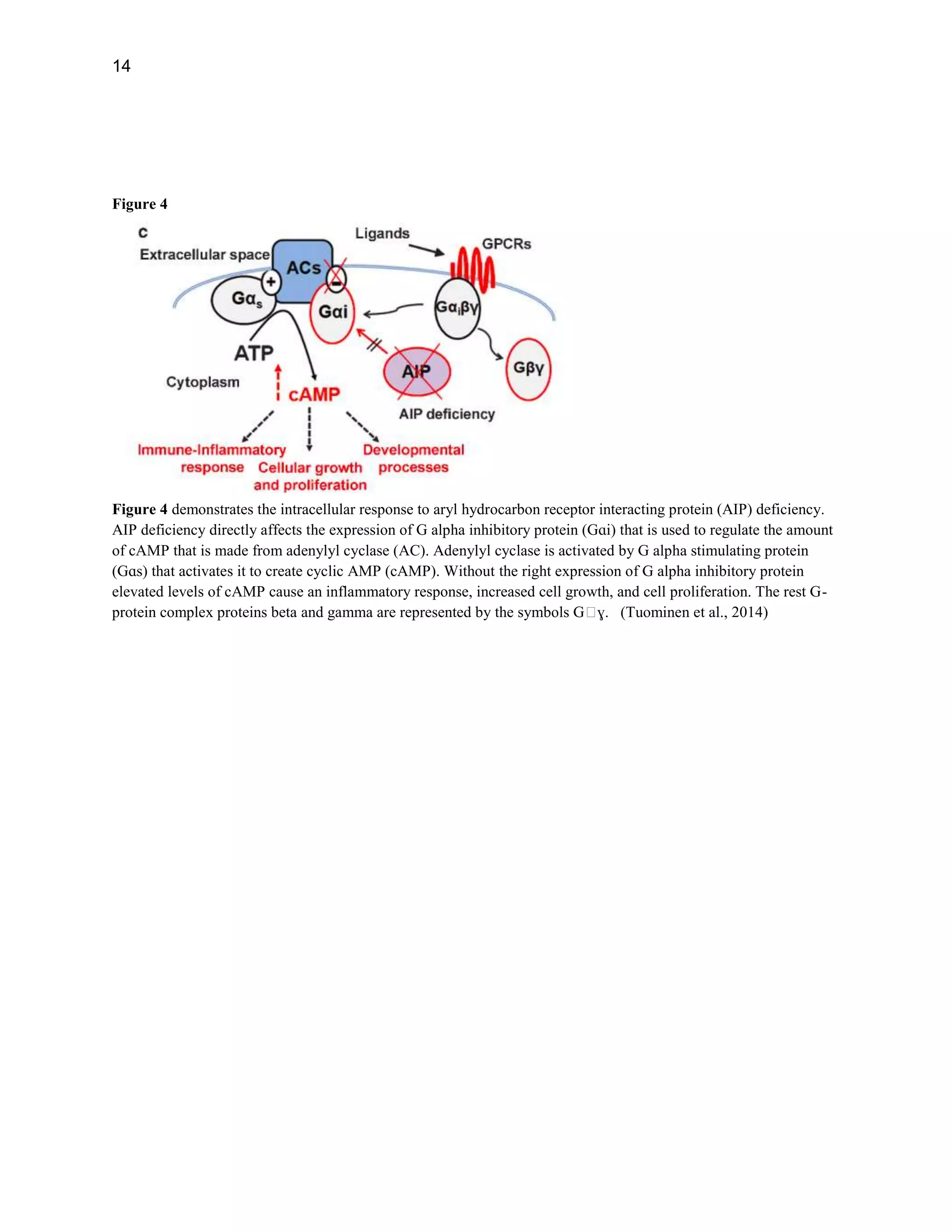 Investigation of Intracellular Signal Transduction in Multiple Endocr…