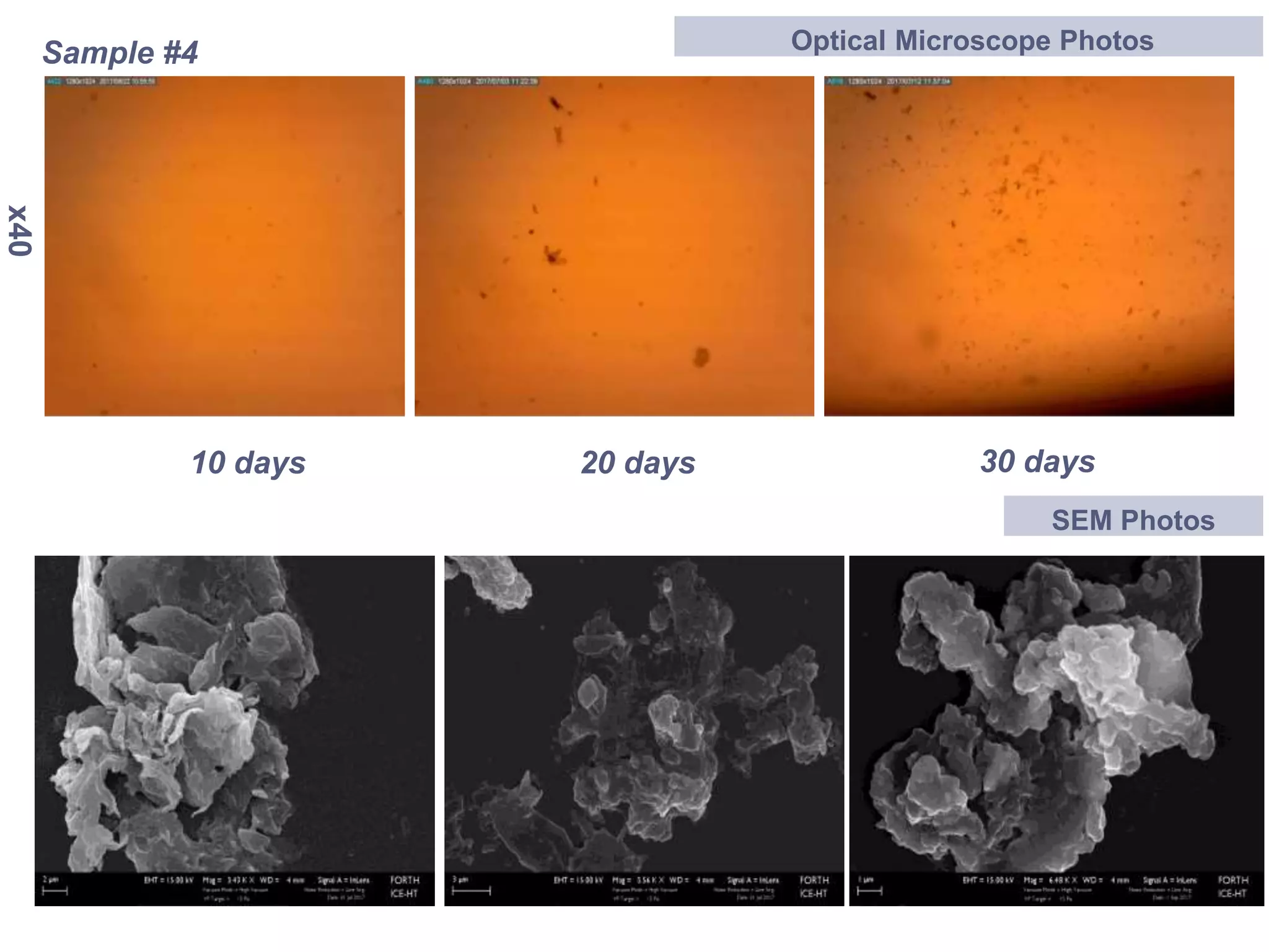 Opacitized Object Investigation of opacification mechanism of hydrophilic intraocular ...
